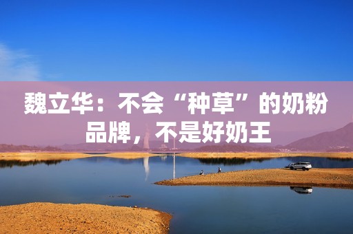 魏立华：不会“种草”的奶粉品牌，不是好奶王