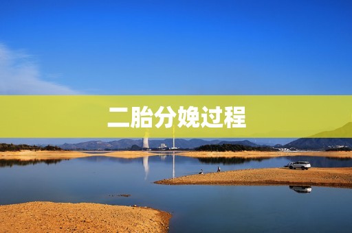 二胎分娩过程