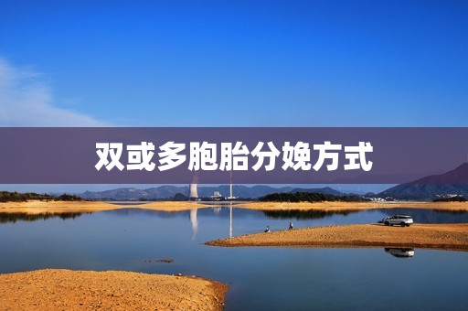 双或多胞胎分娩方式