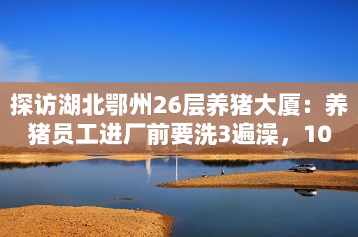 探访湖北鄂州26层养猪大厦：养猪员工进厂前要洗3遍澡，10人可负责全楼工作