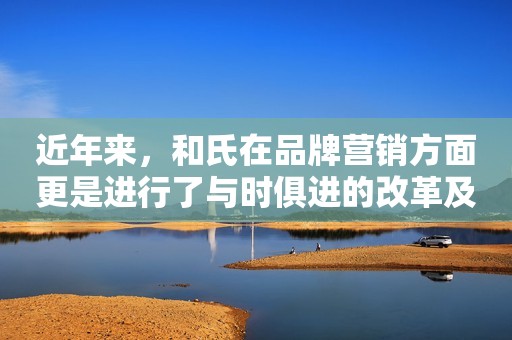 近年来，和氏在品牌营销方面更是进行了与时俱进的改革及创新，与高端行业媒体深度合作，在全国大型专业孕婴童产品展中屡创佳绩。同时，品牌和服务不断升级，为消费者打造更好的消费体验，使“卓越品质、当然和氏”的形象深入人心。服务方面设立专业客服中心，由专业营养师领衔指导；与中山大学携手，创建和氏商学院MBA高级研修班，建设高素质团队，打造高质量渠道；组建市场宣传推广、宣传培训专业组，一对一服务全国范围内客户，为终端提供精准的营销推广方案；在全国范围内启动了市场营销大型专家培训讲座，深受广大经销商的欢迎。