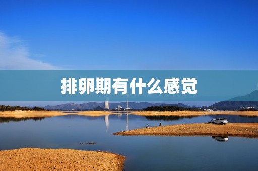 排卵期有什么感觉