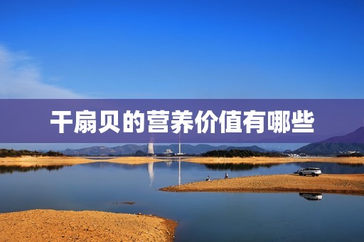 干扇贝的营养价值有哪些