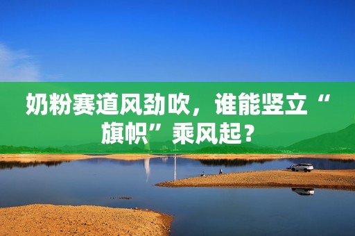 奶粉赛道风劲吹，谁能竖立“旗帜”乘风起？