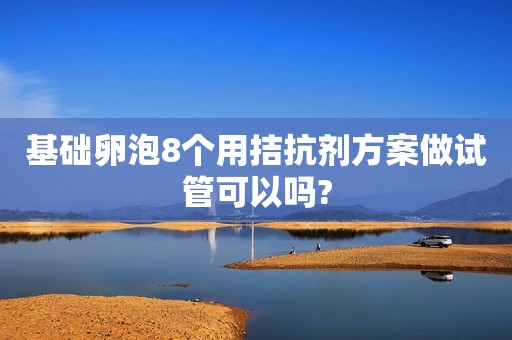 基础卵泡8个用拮抗剂方案做试管可以吗?