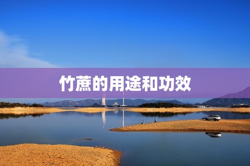 详细阅读:竹蔗的用途和功效 竹蔗的用途和功效