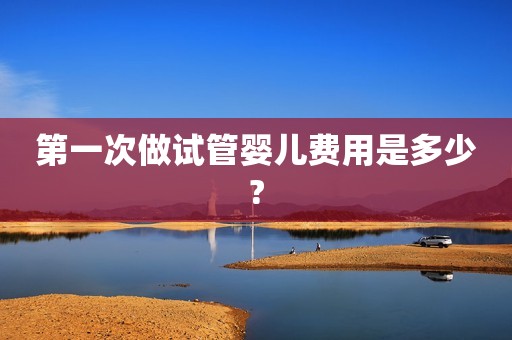 第一次做试管婴儿费用是多少?