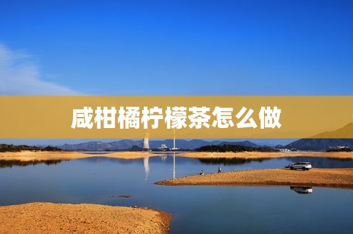 咸柑橘柠檬茶怎么做