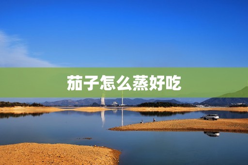 茄子怎么蒸好吃