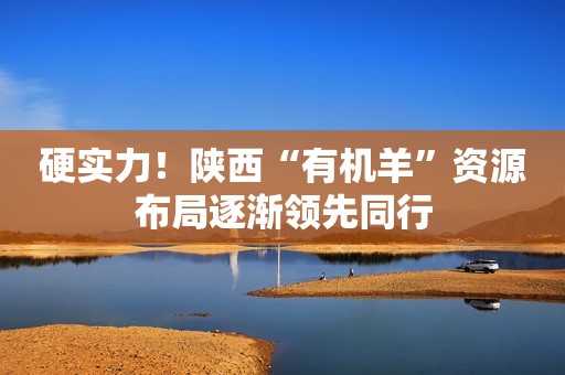硬实力！陕西“有机羊”资源布局逐渐领先同行