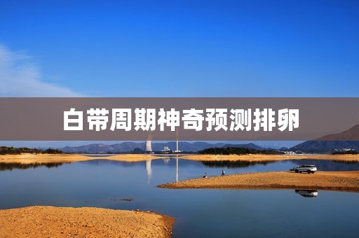 白带周期神奇预测排卵