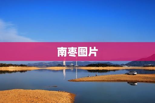 南枣图片