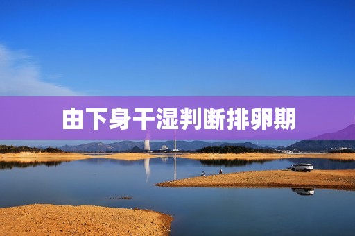 由下身干湿判断排卵期