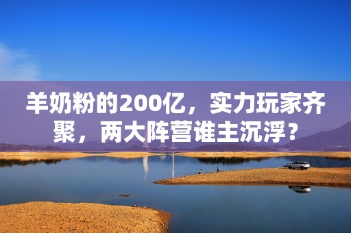羊奶粉的200亿，实力玩家齐聚，两大阵营谁主沉浮？