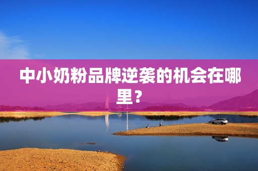 中小奶粉品牌逆袭的机会在哪里？