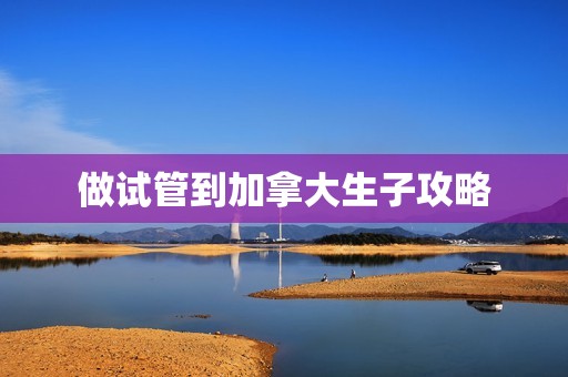 做试管到加拿大生子攻略