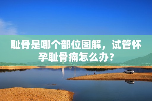 耻骨是哪个部位图解，试管怀孕耻骨痛怎么办？