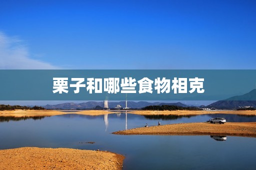 栗子和哪些食物相克