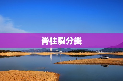 脊柱裂分类