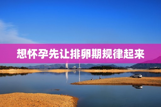 想怀孕先让排卵期规律起来