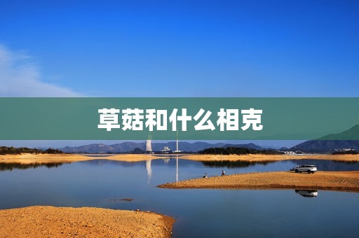 草菇和什么相克