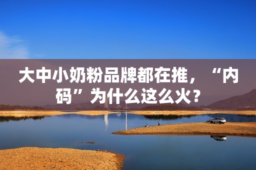 大中小奶粉品牌都在推，“内码”为什么这么火？