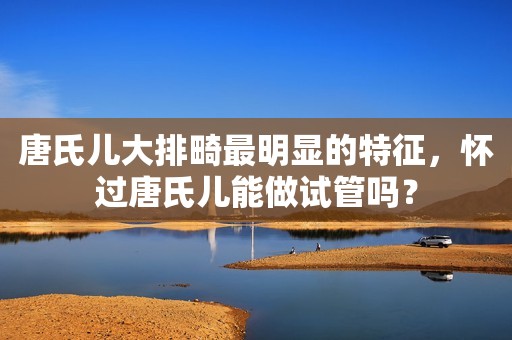 唐氏儿大排畸最明显的特征，怀过唐氏儿能做试管吗？