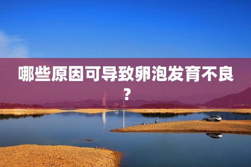 哪些原因可导致卵泡发育不良？