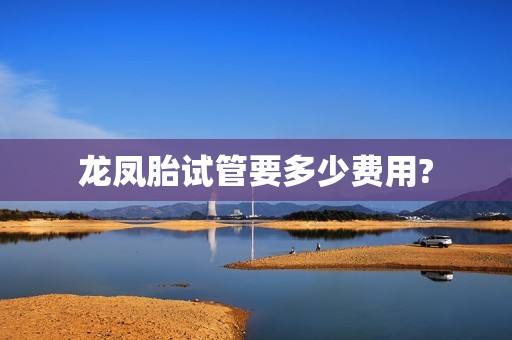 龙凤胎试管要多少费用?