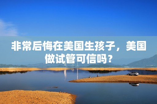 非常后悔在美国生孩子，美国做试管可信吗？
