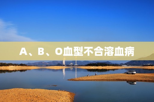 A、B、O血型不合溶血病