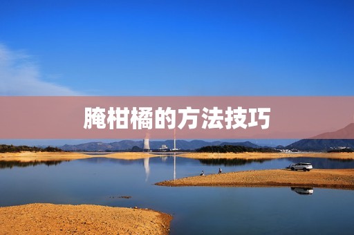 腌柑橘的方法技巧