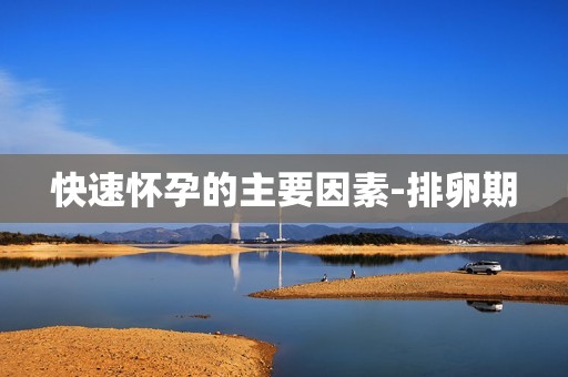 快速怀孕的主要因素-排卵期