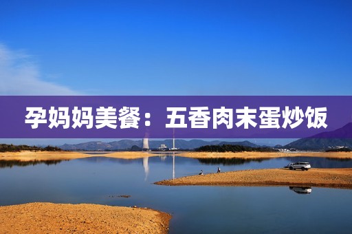孕妈妈美餐：五香肉末蛋炒饭