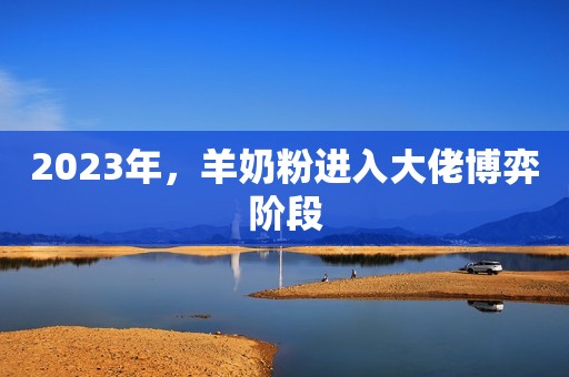 2023年，羊奶粉进入大佬博弈阶段