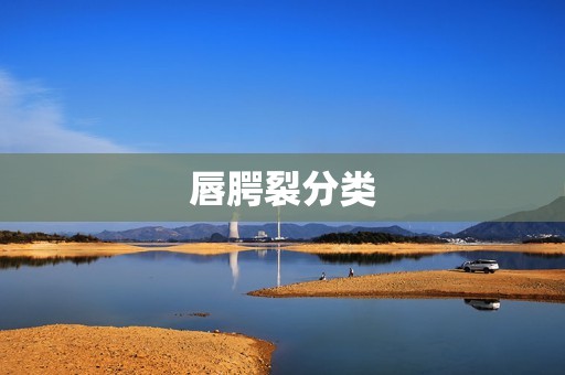 唇腭裂分类