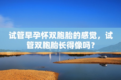 试管早孕怀双胞胎的感觉，试管双胞胎长得像吗？