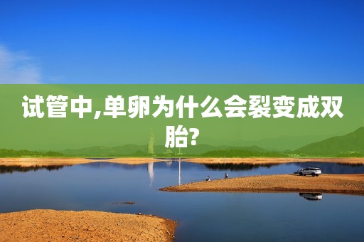 试管中,单卵为什么会裂变成双胎?