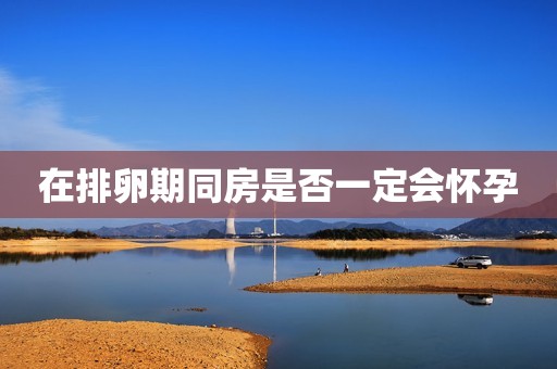 在排卵期同房是否一定会怀孕