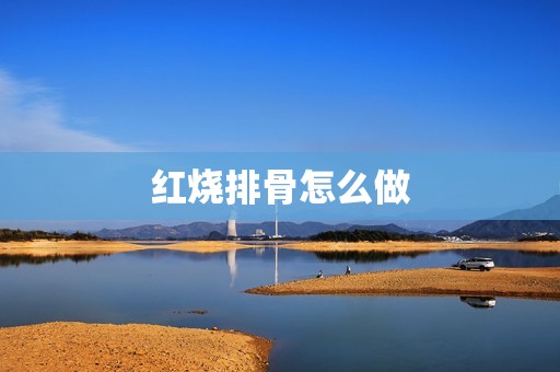 红烧排骨怎么做