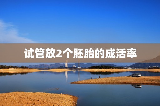 试管放2个胚胎的成活率