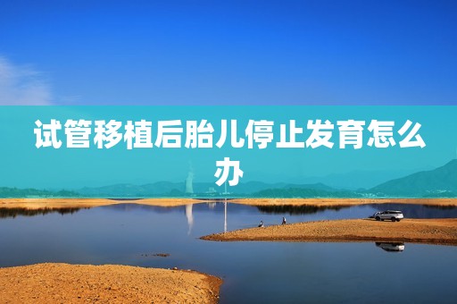 试管移植后胎儿停止发育怎么办
