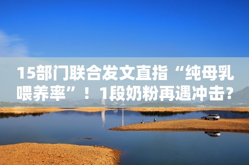 15部门联合发文直指“纯母乳喂养率”！1段奶粉再遇冲击？