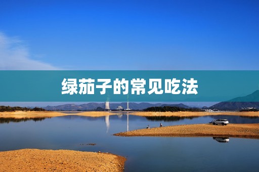 绿茄子的常见吃法