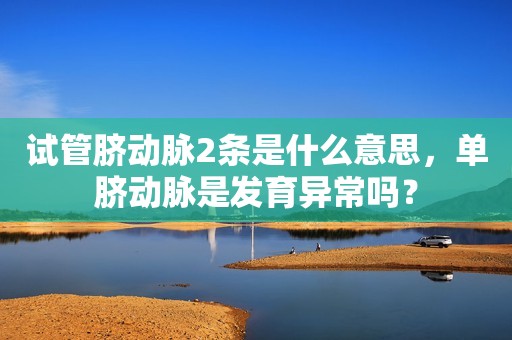 试管脐动脉2条是什么意思，单脐动脉是发育异常吗？