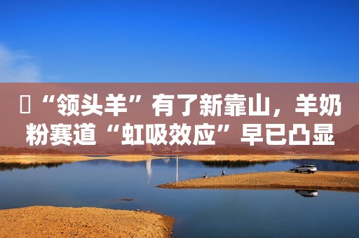 ​“领头羊”有了新靠山，羊奶粉赛道“虹吸效应”早已凸显