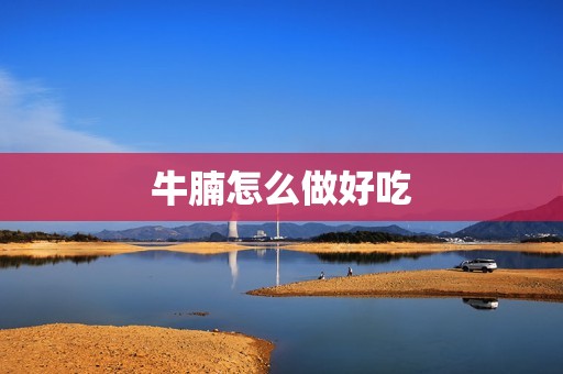 牛腩怎么做好吃