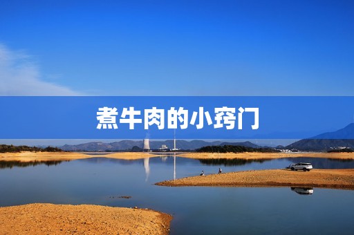 煮牛肉的小窍门