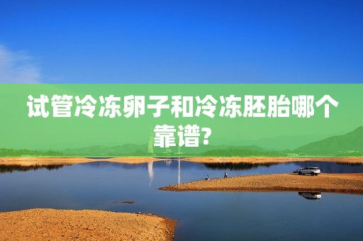 试管冷冻卵子和冷冻胚胎哪个靠谱?