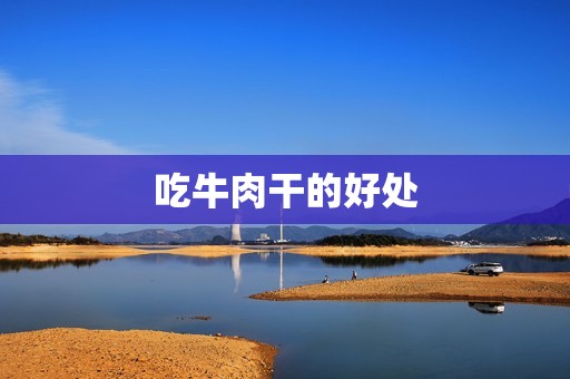 吃牛肉干的好处